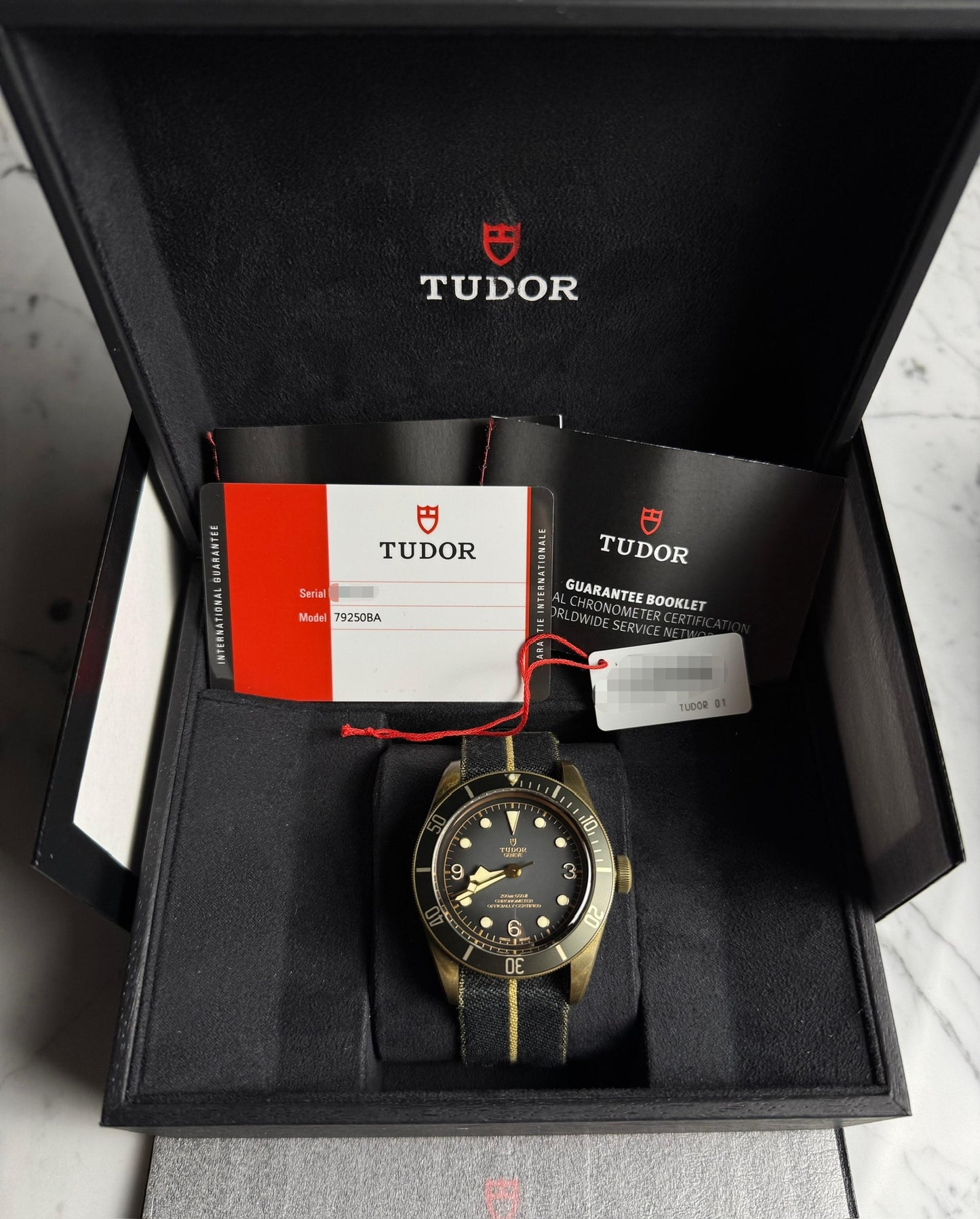 Tudor Black Bay Bronze Grey Dial Nice Patina 2019 (Full-Set/Mint)